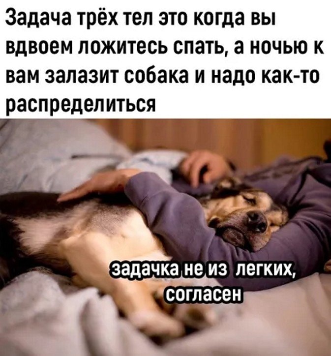 ☆ ☆ - 5  2025  16:32