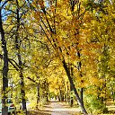 ���� �������, �������, 42 ���� - ��������� 8 ������� 2025 � ������ ���� ����������