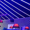 ���� ������., ������ - ��������� 14 ������ 2026 � ������ ���� ����������