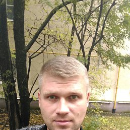 �����, 39 ���, ���������