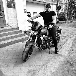 �����, �����-���������, 38 ���