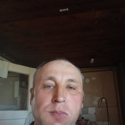 , 41, 