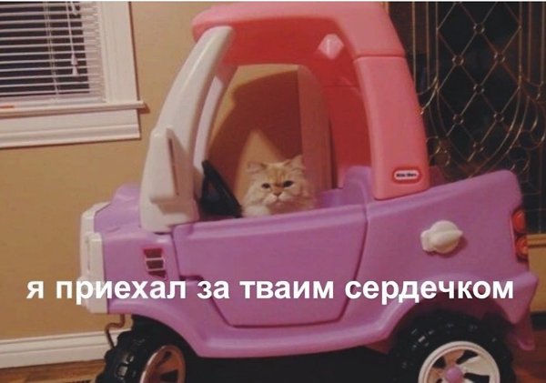 ��� �������� �������� - 8 ������ 2024 � 23:15