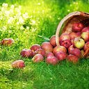 ���� ����, �����-��������� - ��������� 26 ���� 2025 � ������ ������ ��������