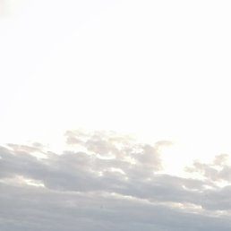 ������, ���������, 38 ���