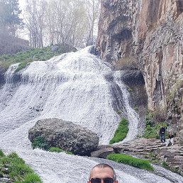 , 46, 