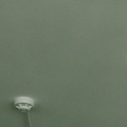 ��������, ������, 54 ����