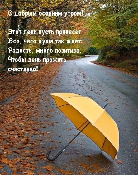   ,    . - 5  2025  07:36