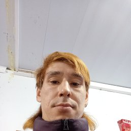 ���� ������, ���������, 36 ��� - ��������� 2 ����� 2026