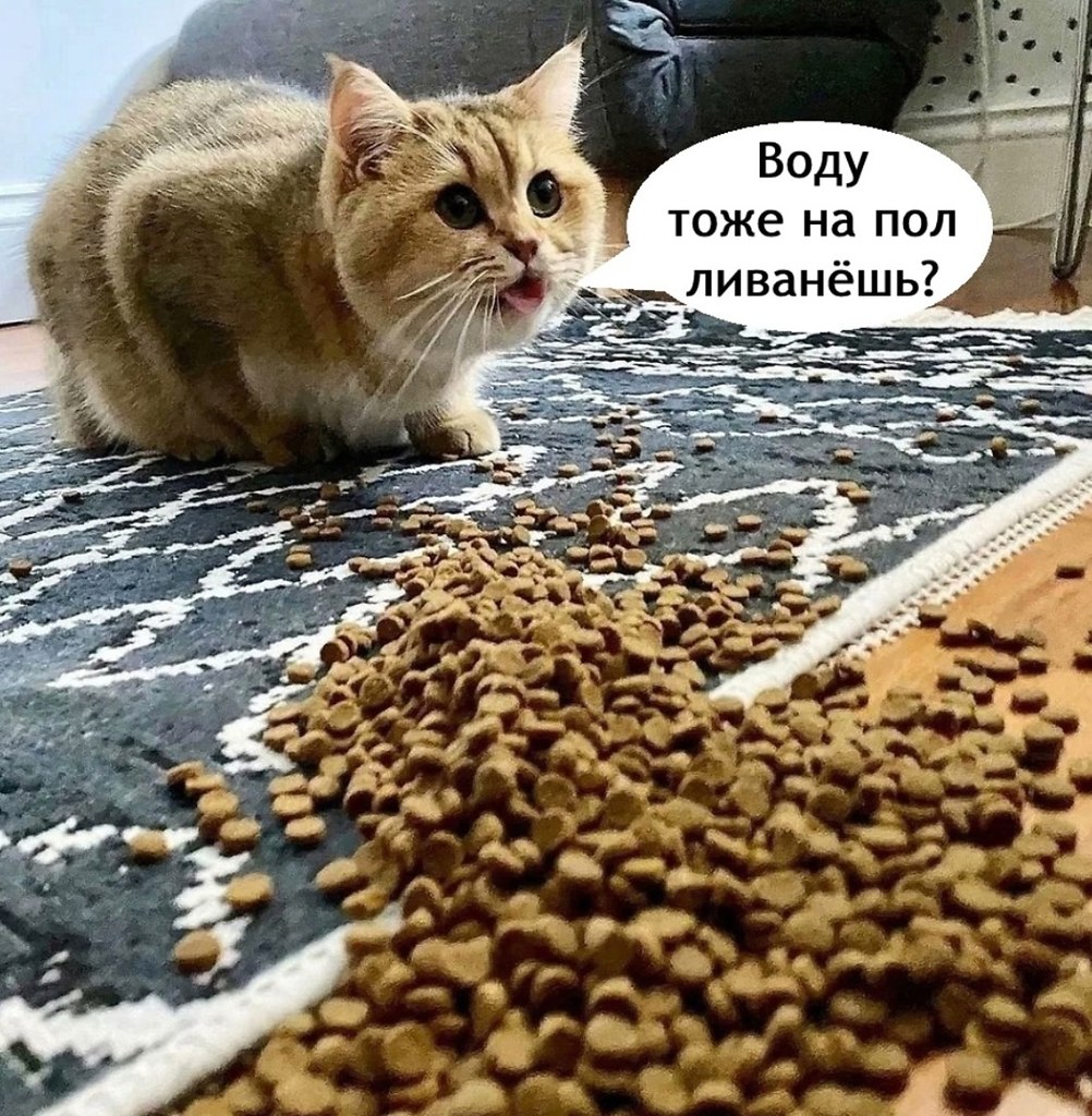    -  . - 17  2025  18:05 - 3