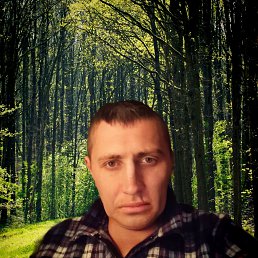 ������, 65 ���, ����������