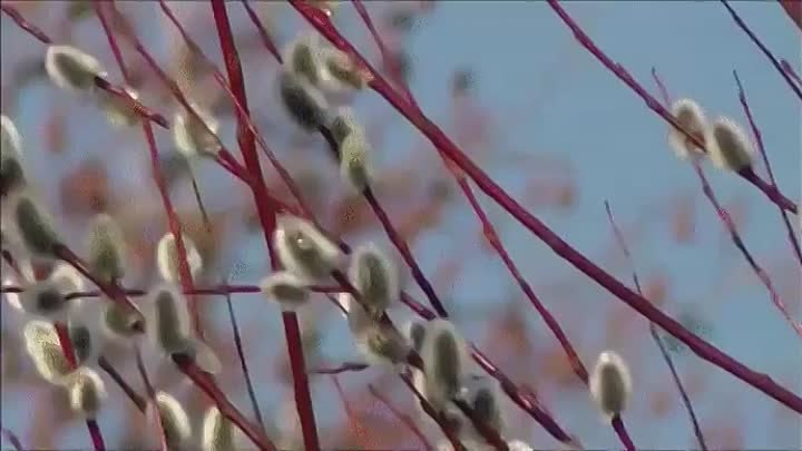��� ����-����, � �� �������� �����, ��� �������� ��� ���� ������, � �������� �� ����� ��������. ...