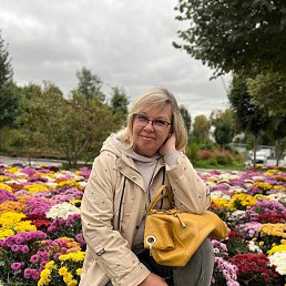 , 55, 