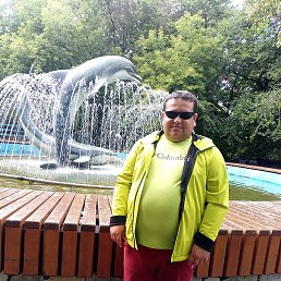 �����, ������, 37 ���