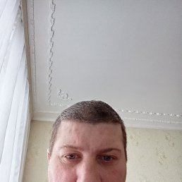 ������� ������������, 41 ���, ���