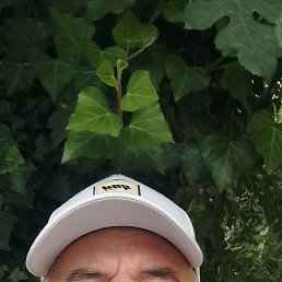 , 62, -