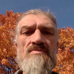 �����, ��������, 55 ���