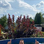 , 47 , 