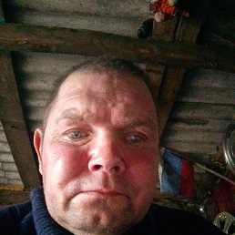 !!!, 41 , -