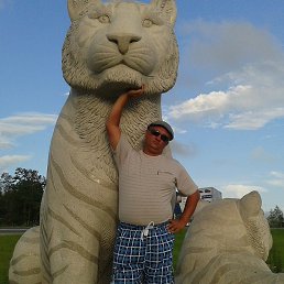 ����, ���������, 56 ���