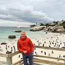 ���� ����� ����� �����, ������, 49 ��� - ��������� 3 ������ 2026