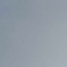 ����, ���������, 44 ����