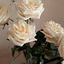 ���� ����, ��������� - ��������� 13 ������� 2025 � ������ ���� ����������