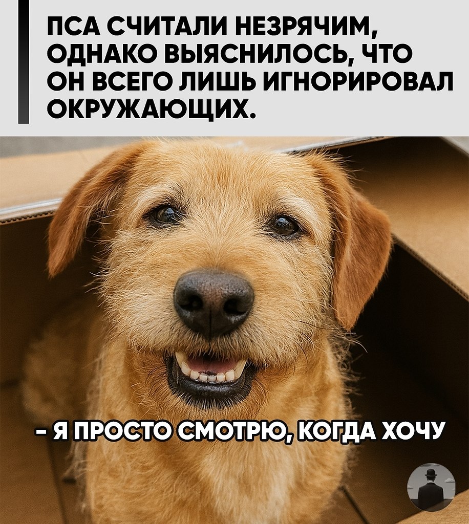 � ����� �� ������� ������ ����� �������, ��� �� �� ������ ��� ���� ����� ������. �� �������� ...