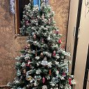 ���� ���, ������ - ��������� 30 ������� 2025 � ������ ������ ��������