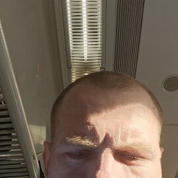 ���� ���������, ������, 41 ��� - ��������� 2 ������ 2026