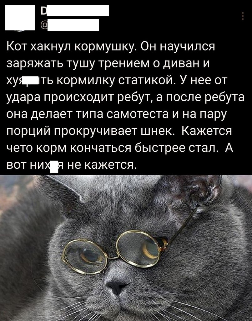 ���� - 17 �������� 2025 � 21:40