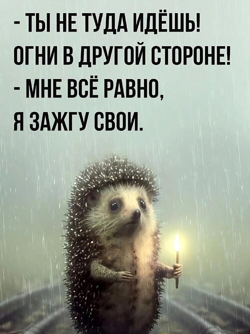   ! - 1  2025  07:50
