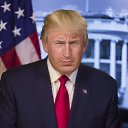 ���� �������, ������-��-����, 45 ��� - ��������� 12 �������� 2024
