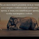  , , 64  -  26  2025    