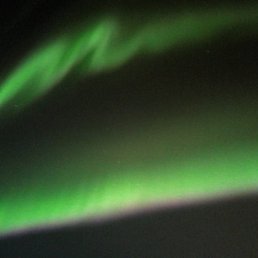 ���� �����, ������, 51 ��� - ��������� 29 ������ 2025