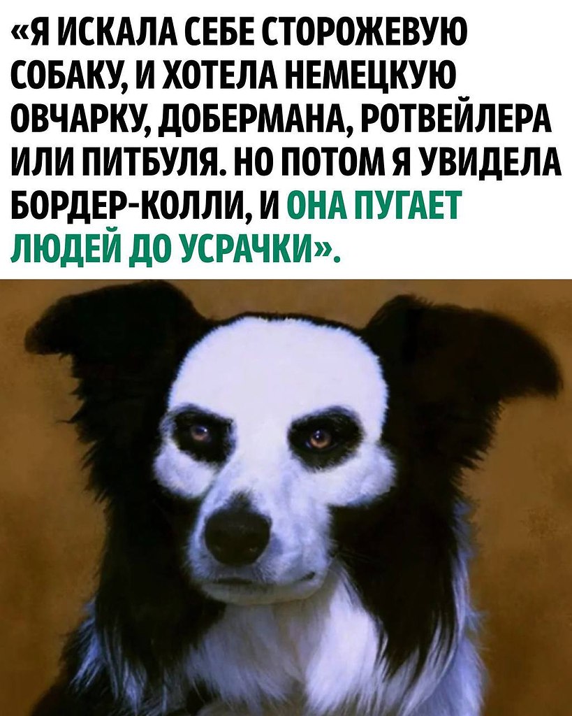   - 6  2024  21:55