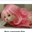 ���� Joana, ���, 55 ��� - ��������� 7 ������� 2026 � ������ ���� ����������