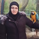 ���� ������, ������, 20 ��� - ��������� 9 ������ 2025 � ������ ���� ����������