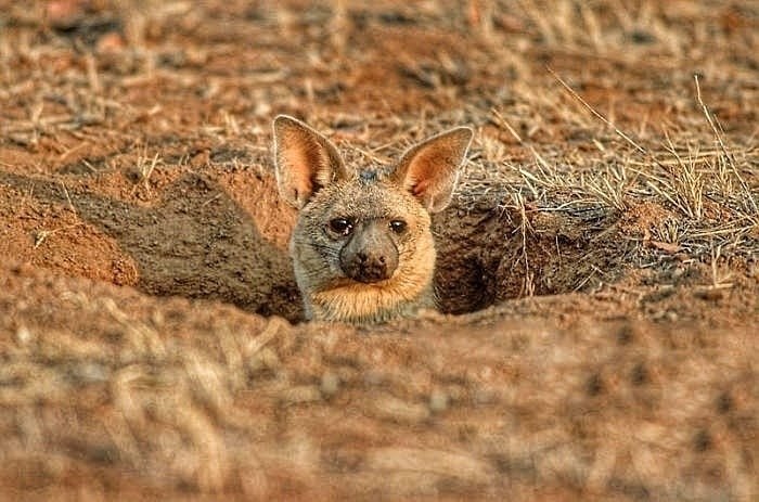 eo o pae  ceec eo. ee e opoae p o pa o. ... - 2