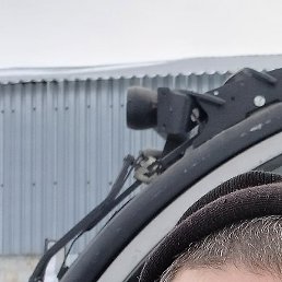 ����, �����������, 51 ���