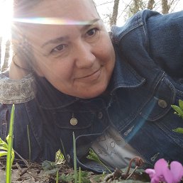 , 41, 