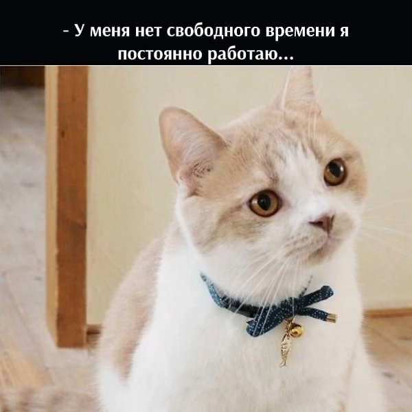 =�> - 2