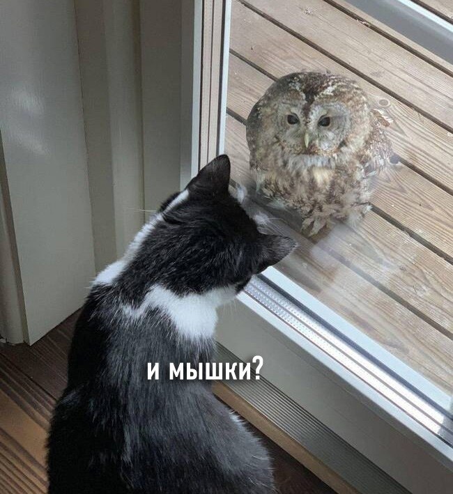    ... - 3