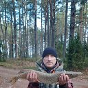 ���� �������, �����, 40 ��� - ��������� 12 ������� 2023 � ������ ���� ����������