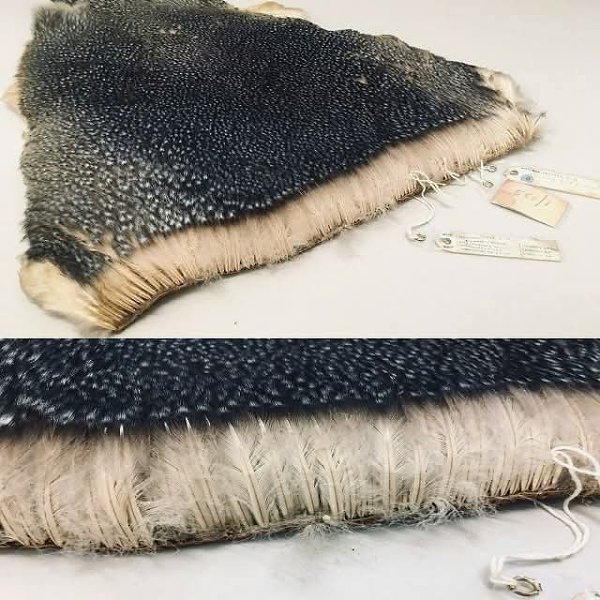 :) ,     -      .     ...