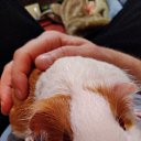 ���� Alexanddr2, ����������, 43 ���� - ��������� 12 ������� 2025 � ������ ���� ����������