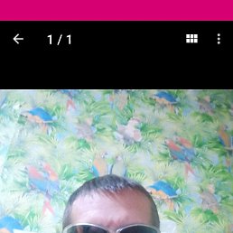 , 37, 
