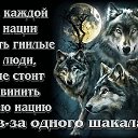   ,  , 62  -  22  2025    