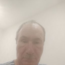 �����, 65 ���, ������