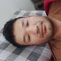 �����, �������, 31 ���